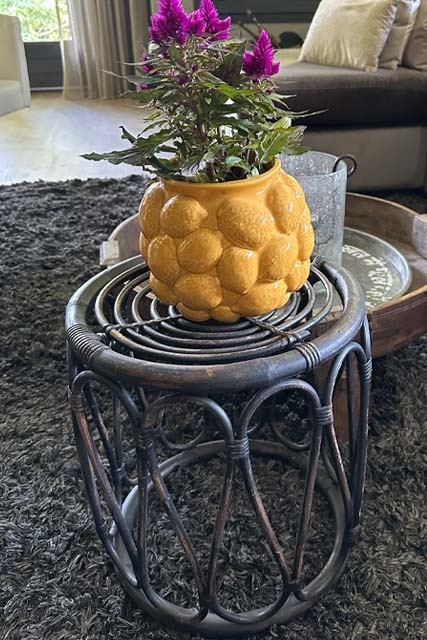 Rotan bijzettafel