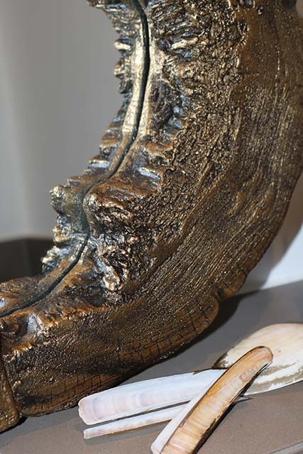 Gouden boomstamspiegel detail