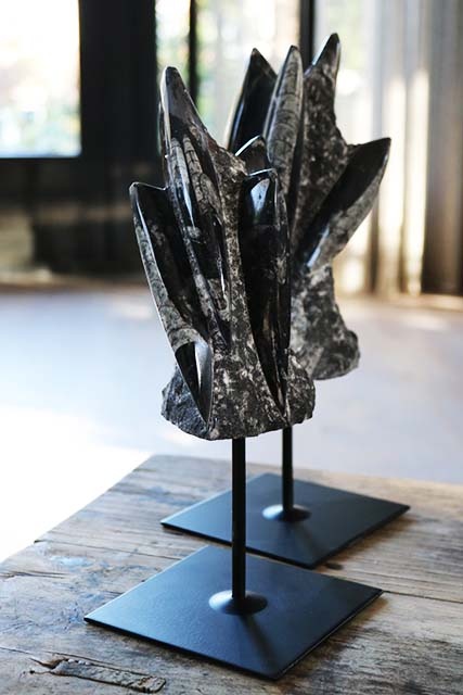 Versteend fossiel op metalen voet
