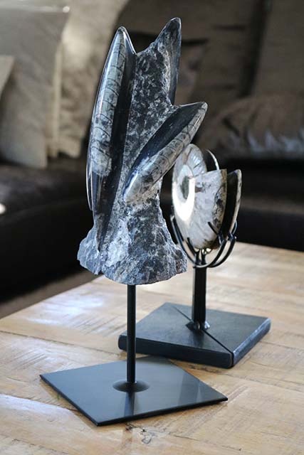Oud fossiel sculptuur