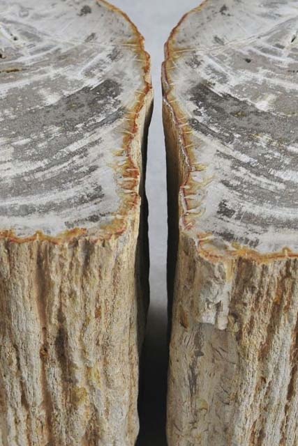 Bijzettafel versteend hout