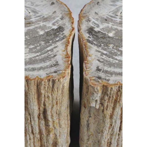 Bijzettafel versteend hout