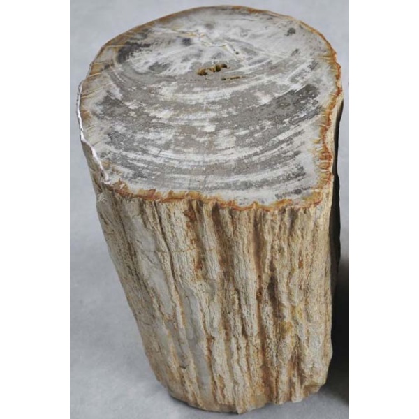Bijzettafel versteend hout