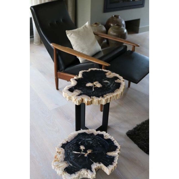 Salontafel versteend hout