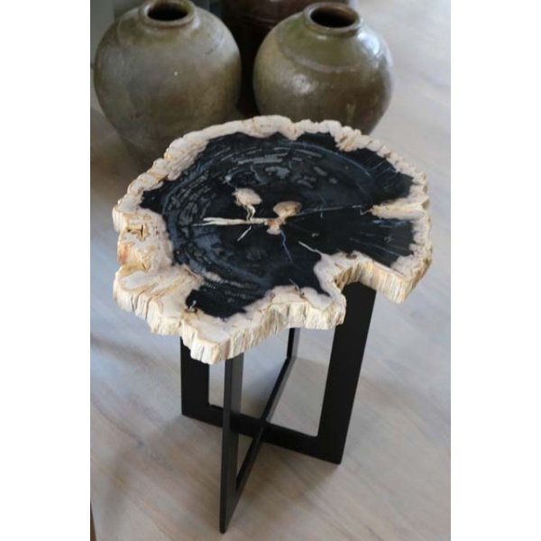 Salontafel versteend hout
