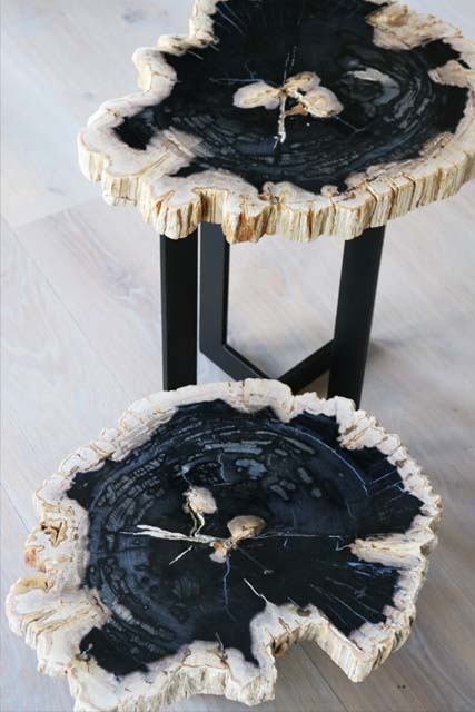 Salontafel versteend hout