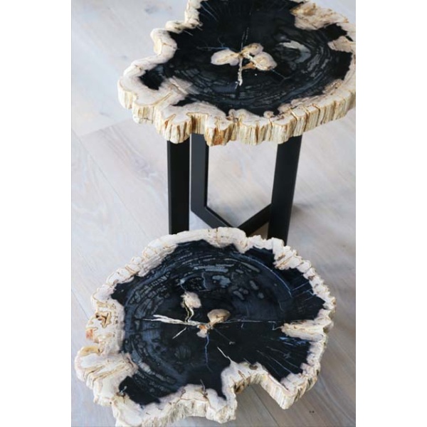 Salontafel versteend hout