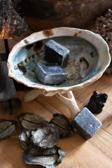 Abalone schelp op voet