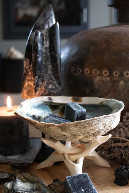 Abalone schelp op voet