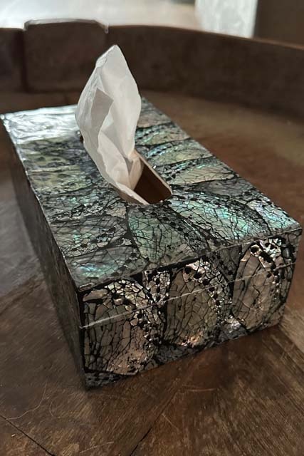 Tissue box Abelone