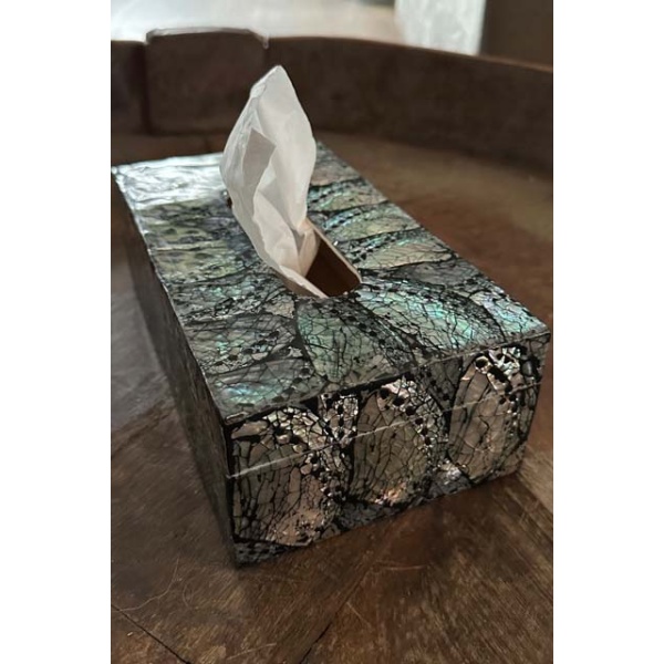 Tissue box Abelone