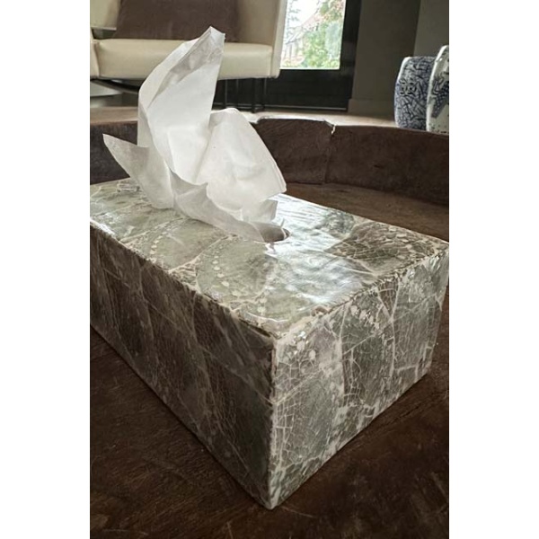 Tissue box Abelone